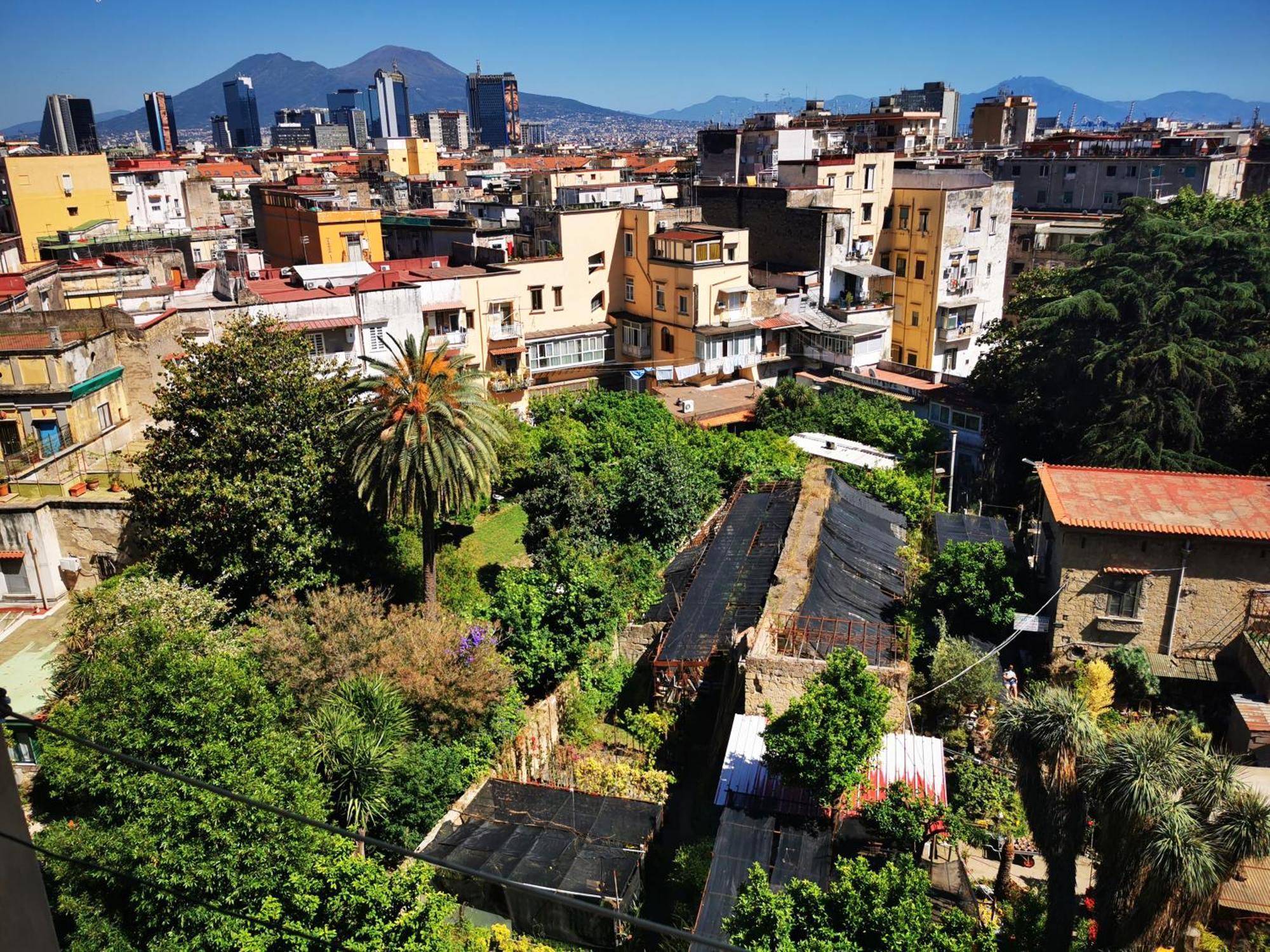 A Cozy Nest With A Vesuvio View Apartment